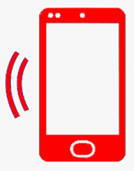 Contact Information